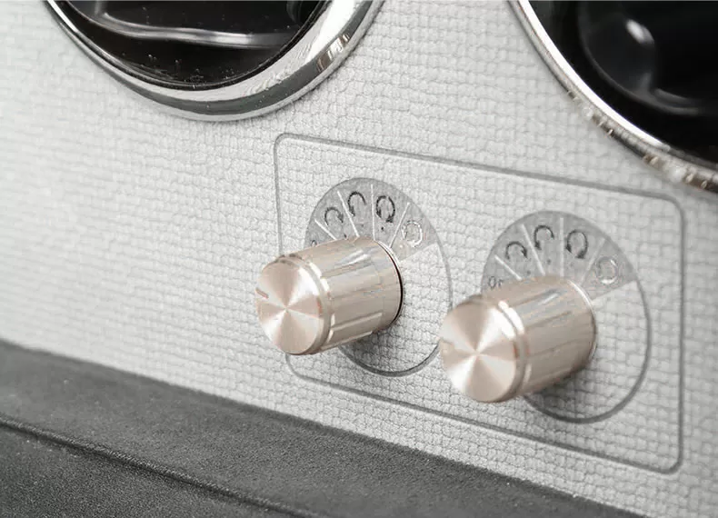 Black Leather Watch Case with 4 Automatic Winder