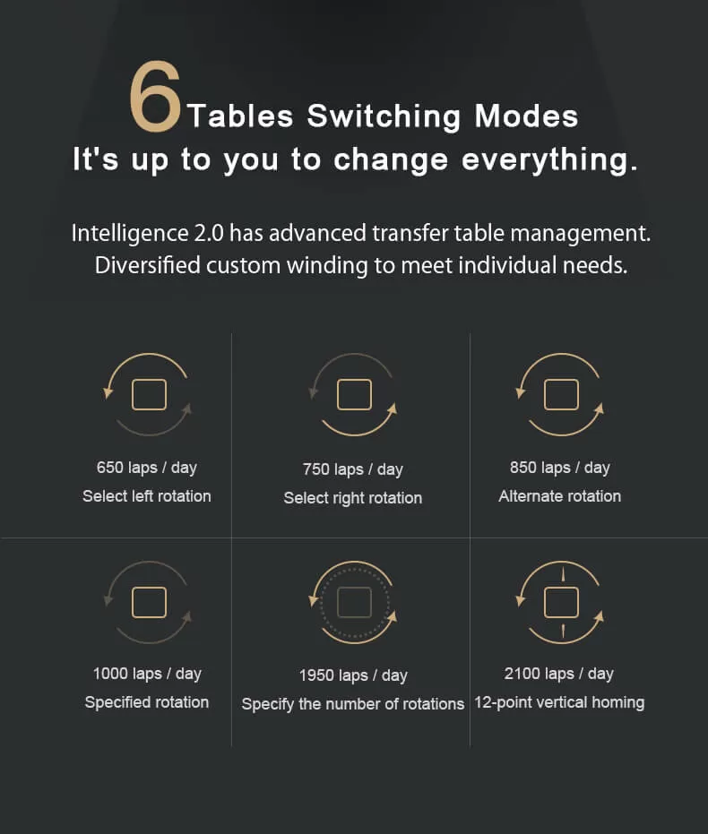 Luxury Smart Roroos Wooden Twelve Watch Winder